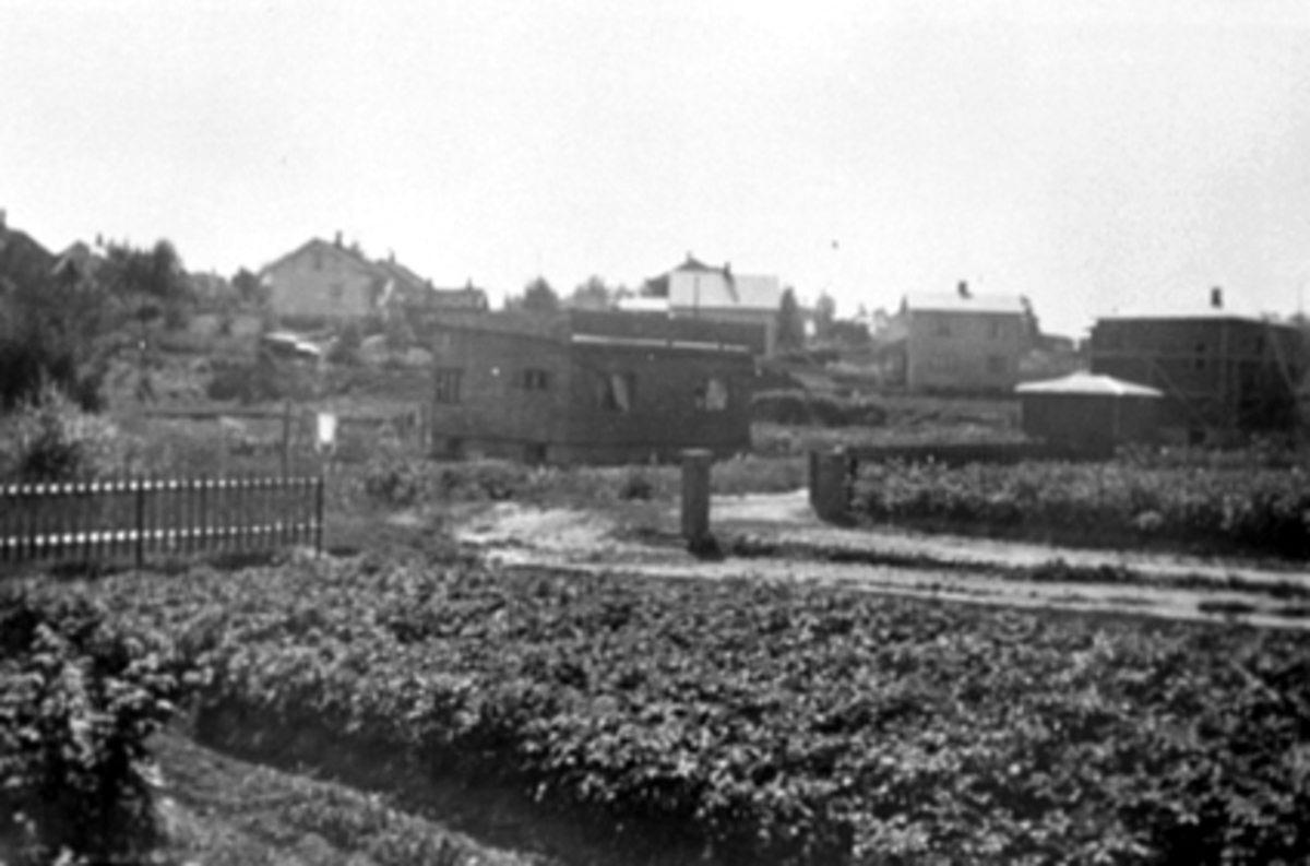 Anno Domkirkeodden, FUGLSETH-TOMTA, VASSÅSEN, ROSTADENGEN.