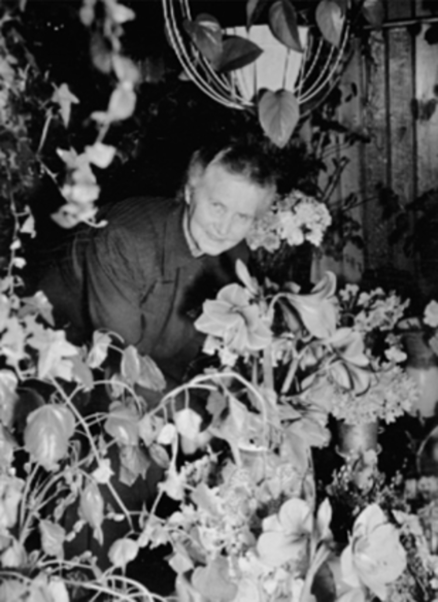 Anno Domkirkeodden, INTERIØR, O. FUGLSETHS BLOMSTERFORRETNING, OLGA KAROLINE FUGLSETHInne i forretningen. Bildet brukt i "Urd".