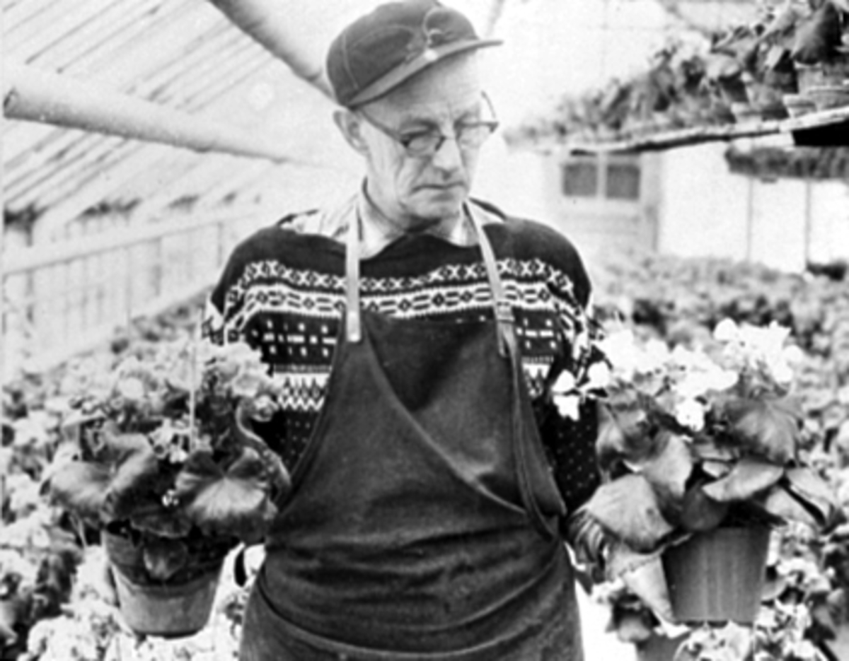 Anno Domkirkeodden, PORTRETT, ODDAVAR J. EGGEN, INTERIØR, O. FUGLSETHS HANDELSGATNERI