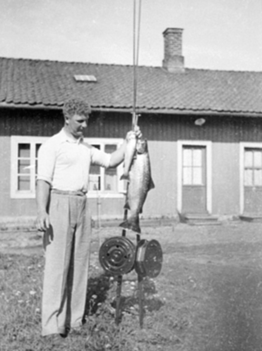 Anno Domkirkeodden, Bjarne Andersen, med ørret, mjøsfiske, dreggesprøtt, mjøsørret. Bildet tatt foran Kokeribygningen.