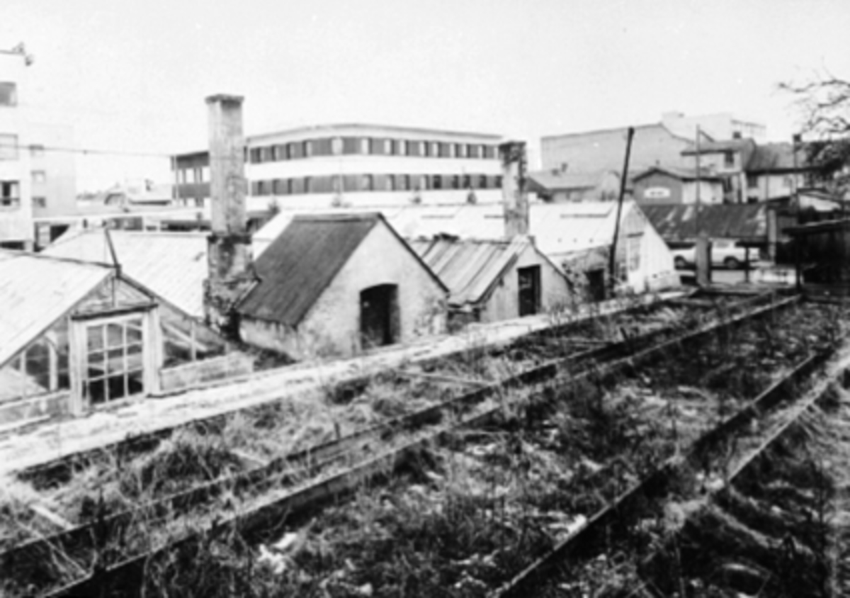 Anno Domkirkeodden, FUGLSETHS GARTNERI, DRIVHUS, SÅKASSER, PORT.