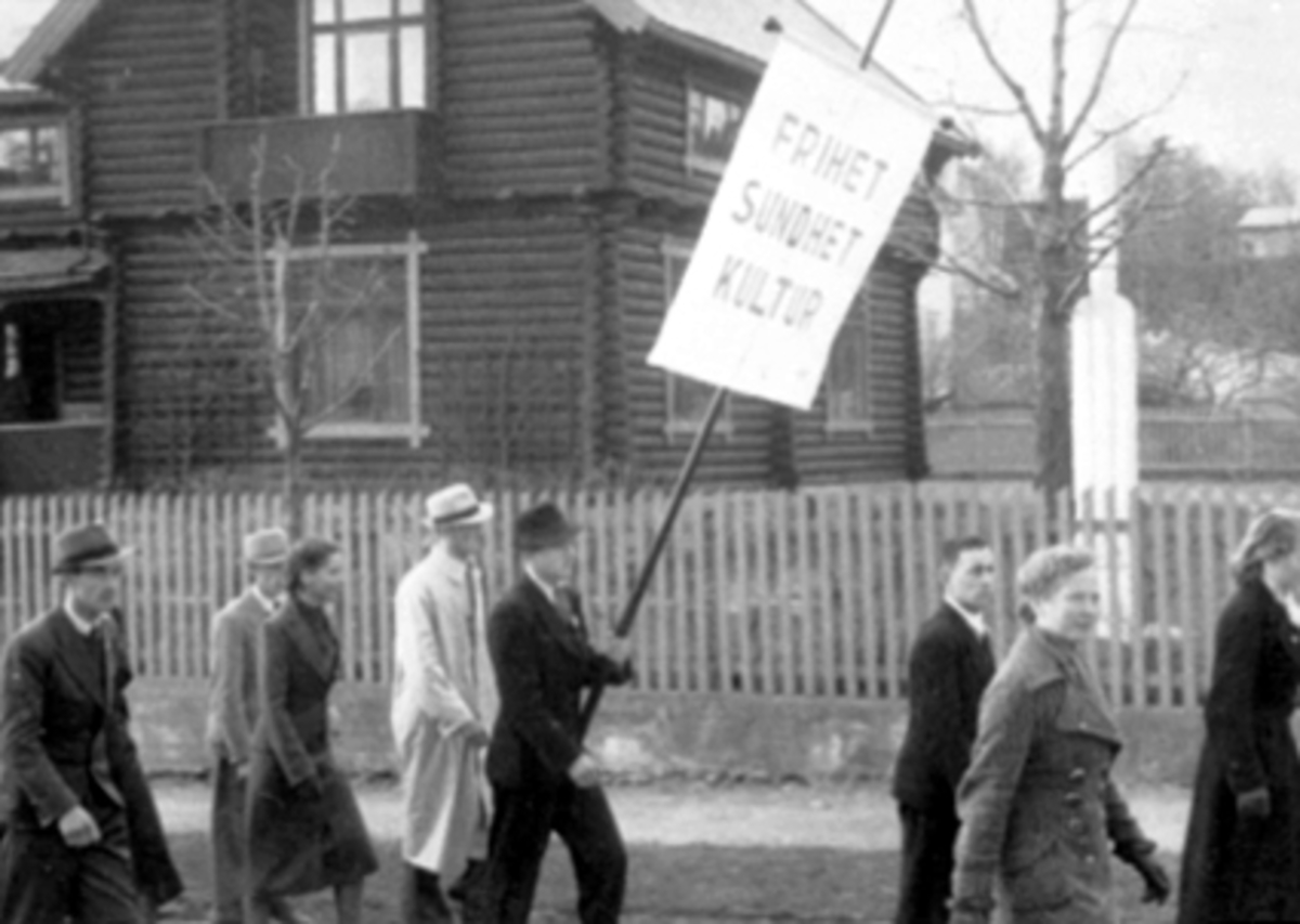 Anno Domkirkeodden, OPPTOG MED PLAKAT: FRIHET, SUNDHET, KULTUR, 1. MAITOG?, 9 PERSONER
