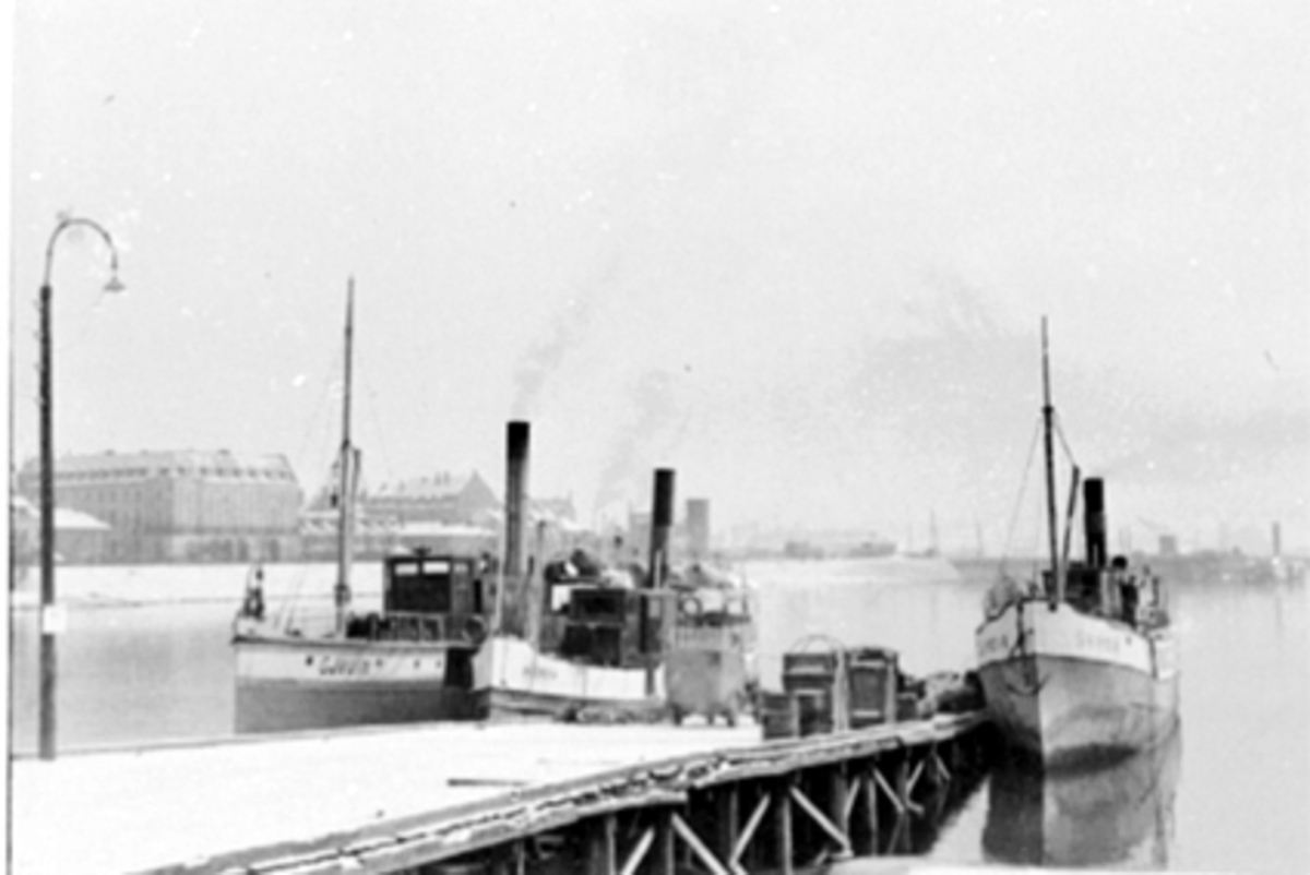 Anno Domkirkeodden, MJØSBÅTENE D. S. GJØVIK, D. S. HAMAR, D. S. SKREIA, HAMAR BRYGGE, VINTER