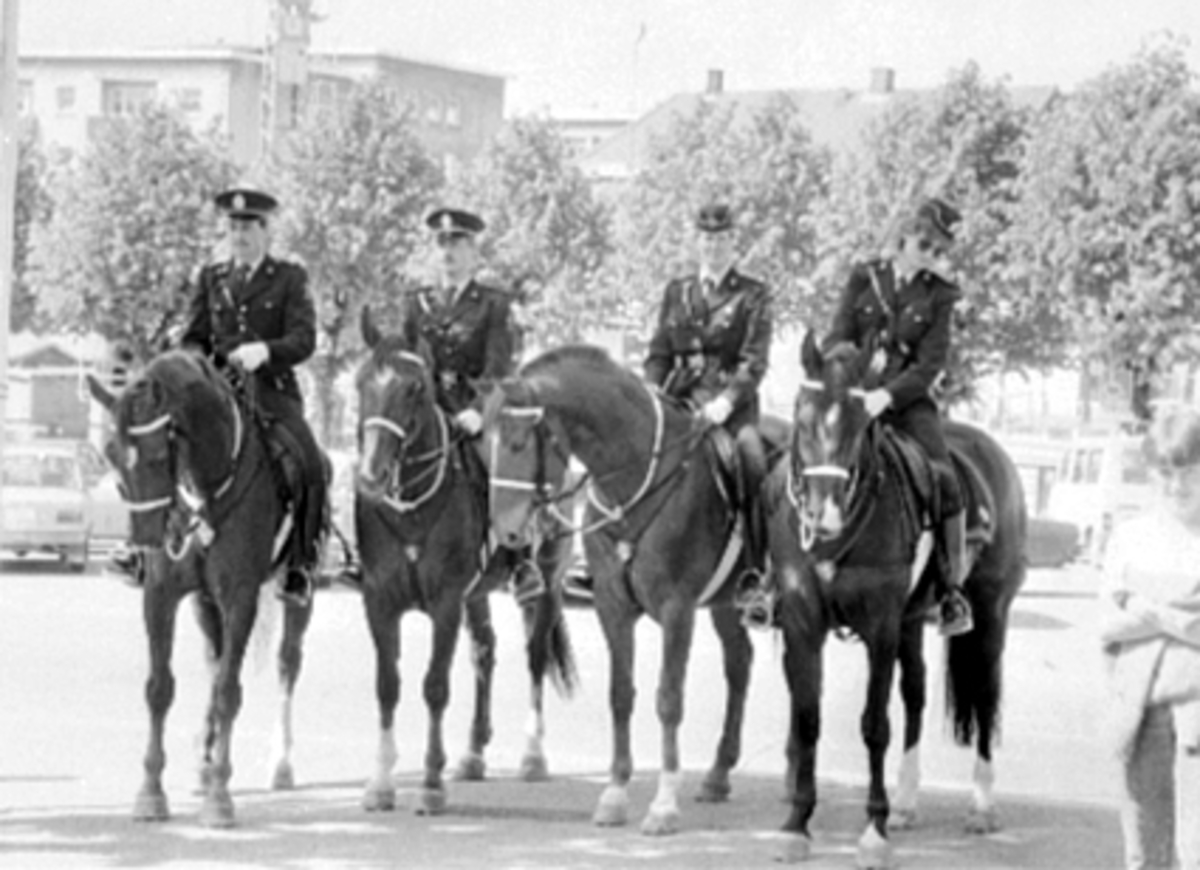 Anno Domkirkeodden, GRUPPE 4 RIDENDE POLITI, POLITIHESTER