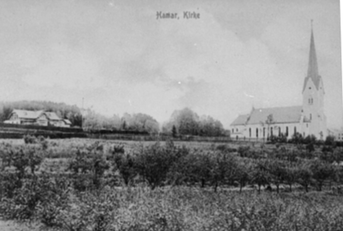 Anno Domkirkeodden, SAGATUNJORDET FØR VILLABEBYGGELSE, HAMAR DOMKIRKE OG BISPEGÅRDEN