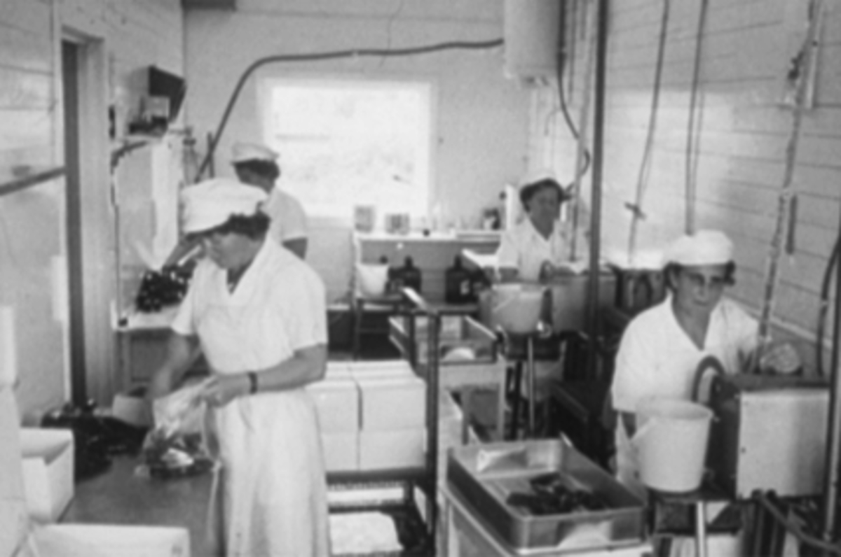 Anno Domkirkeodden, INTERIØR TOBBYFABRIKKEN, LESKEDRIKKPRODUSENT, SUKKERVANN MED FARGETILLSETTING. BLE FYLT I PLASTIKKPØLSER SOM BLE LODDET SAMMEN, TOBBY BLE OGSÅ SOLGT SOM FROSSENVARE. NORDVIKVEGEN 57. , DE SOM ARBEIDER ER FRA VENSTRE: ELFRID LARSEN, ANNA FLENGSRUD, THEA KRISTIANSEN, I FORGRUNNEN TIL HØYRE: MARIE (MA…