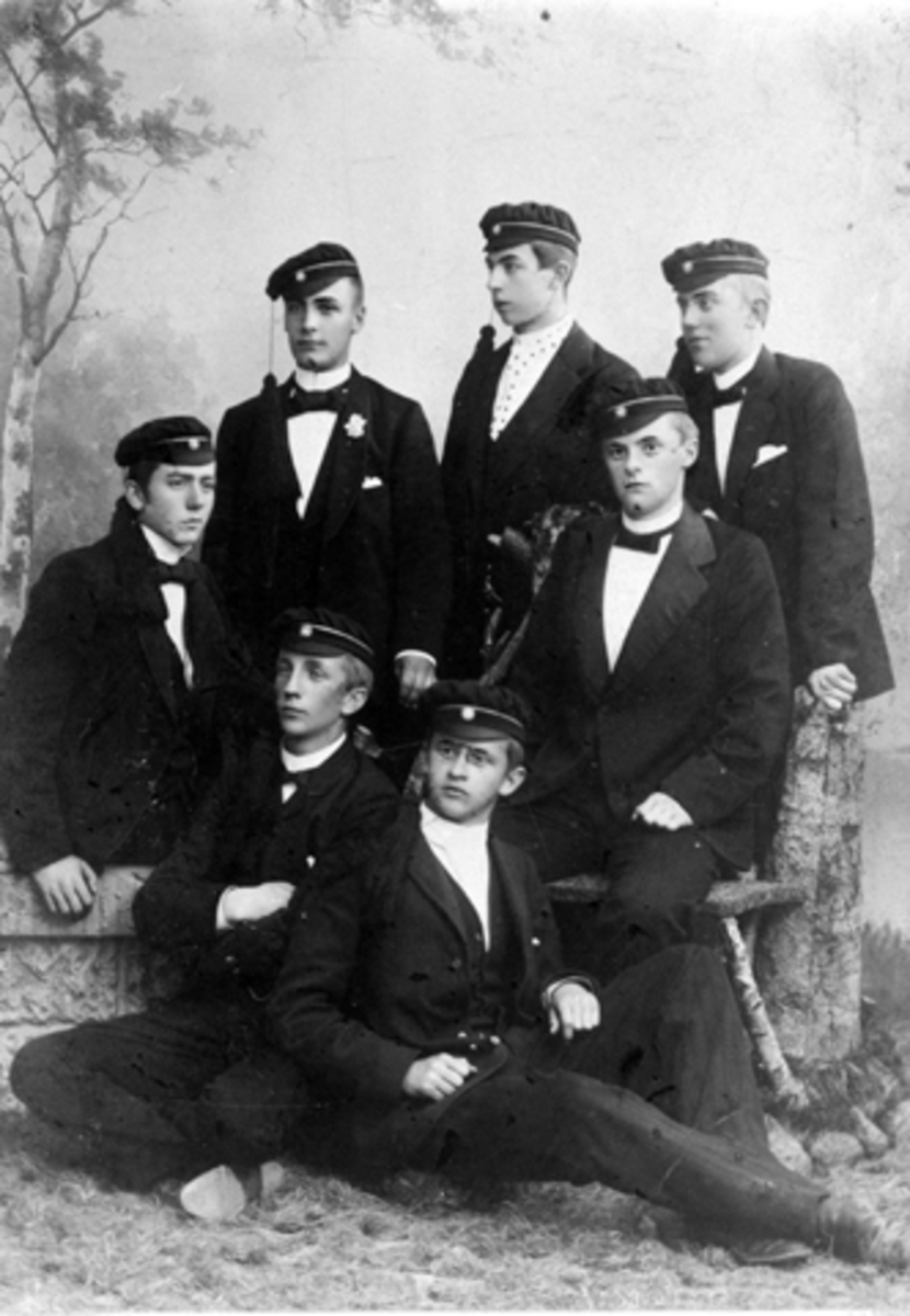 Anno Domkirkeodden, HAMAR KATEDRALSKOLE, LATINSTUDENTER 1894. FORAN FRA VENSTRE PETER ANDREAS BERGH(?), ERLING KRISTIANSEN. IMIDTEN FRA VENSTRE HARALD HALS OG NILS FLAGSTAD. BAK FRA VENSTRE OLE KRISTIAN BERG, EDVARD ERICHSEN OG JOHANNES STEEN.