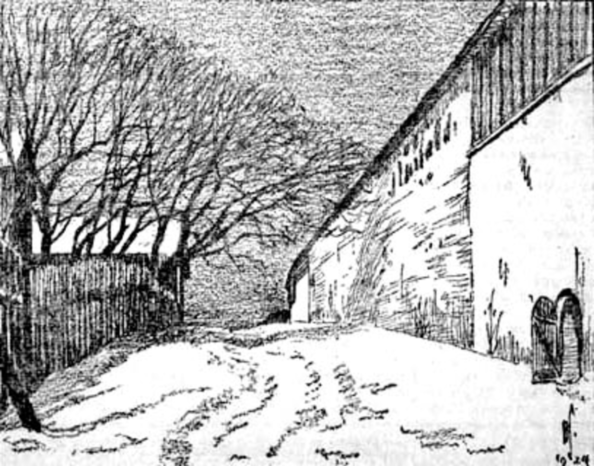 Anno Domkirkeodden, TEGNING. STORHAMARLÅVEN. BISPESTREDET.