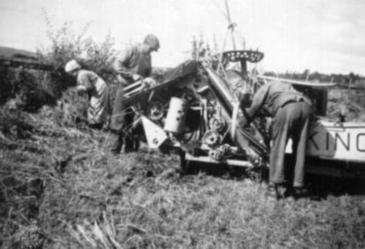 Anno Domkirkeodden, Skuronn på Kirkejordet på Kise mellom, Nes, Hedmark. Traktor med jernhjul og sjølbinder. "Viking" stavhaspel. Fra venstre er Anna Lundstein "Kjella" som ordner med band, Even Arnt. Haugen, Kristian Rosenlund.