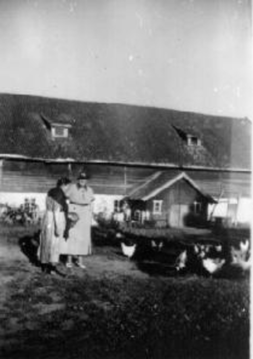 Anno Domkirkeodden, Foring av høner på Mellom-Kise, Nes, Hedmark. Mor og datter, Anna Dorthea Haugen (1883-1965) og Anna Marie (1910-1992).