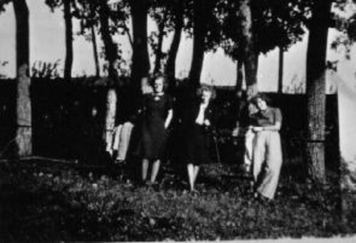 Anno Domkirkeodden, Tre matukjenter (arbeidstjeneste) på det private gravstedet på Mellom-Kise, Nes, Hedmark.