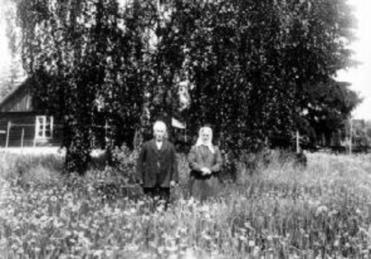 Anno Domkirkeodden, Eldre ektepar foran husmannsplass i Ringsaker.
