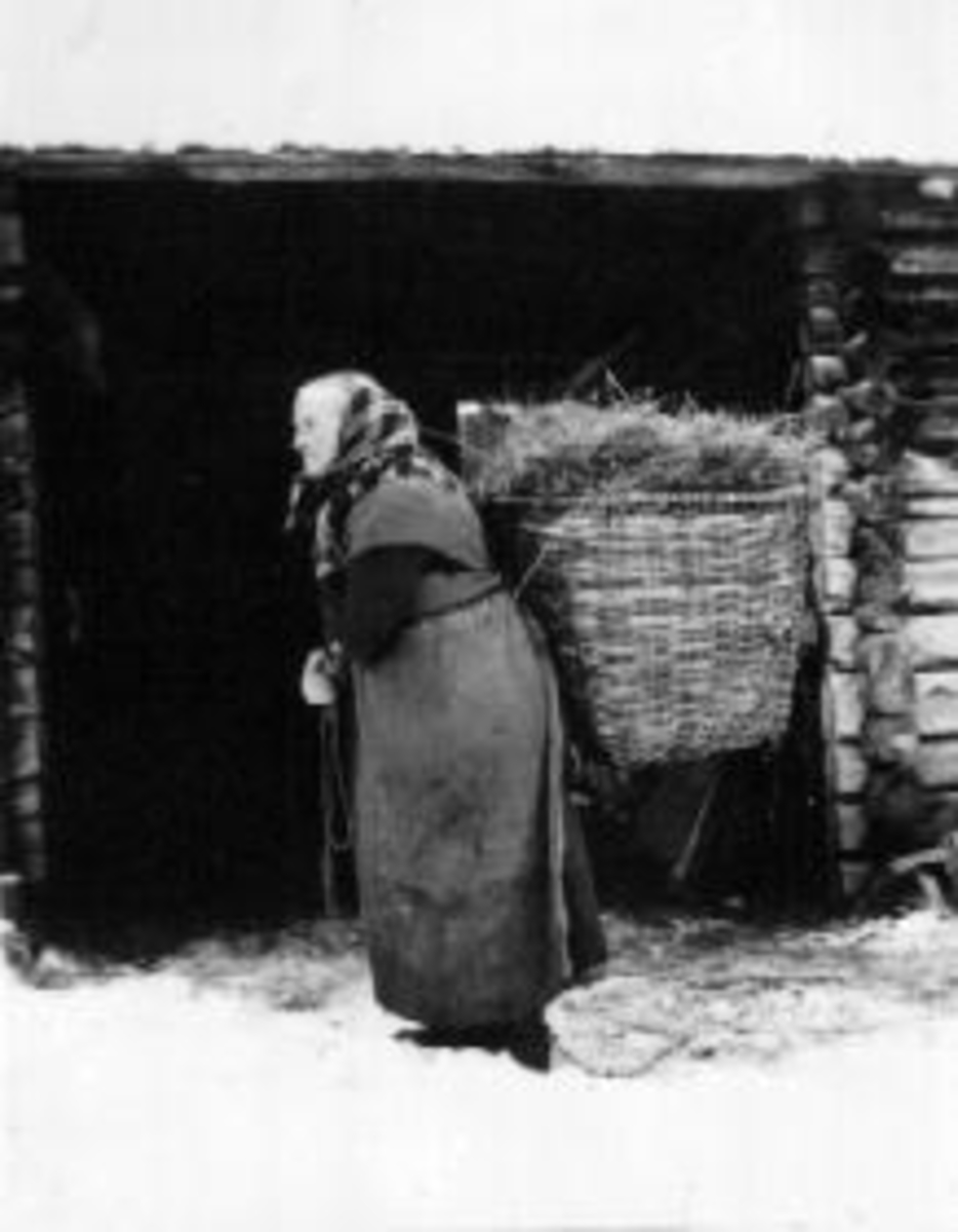 Anno Domkirkeodden, Eldre kone med bære meis med høy. Inngang til uthus. Vinter.