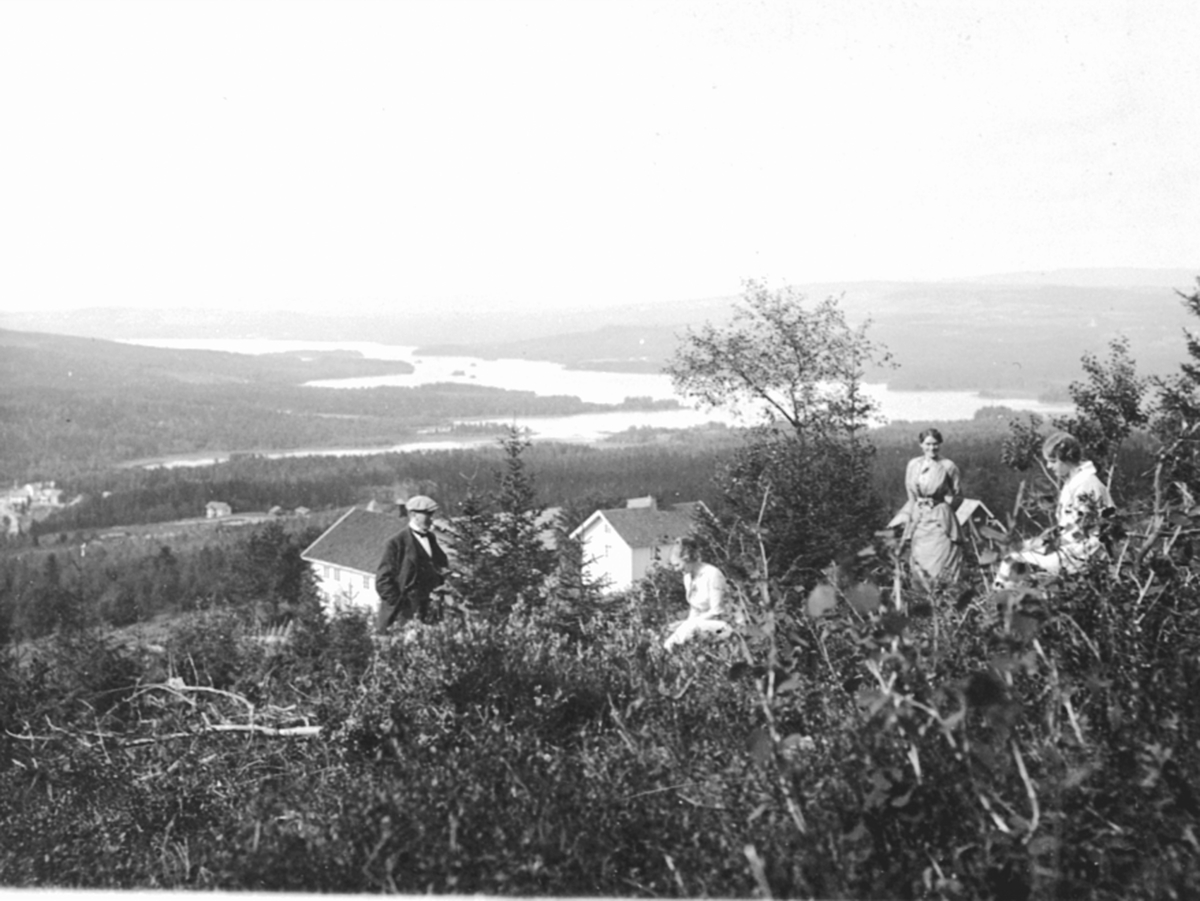 Anno Domkirkeodden, Utsikt fra Kvisla gård, Næroset, Ringsaker. Folk i forgrunnen.