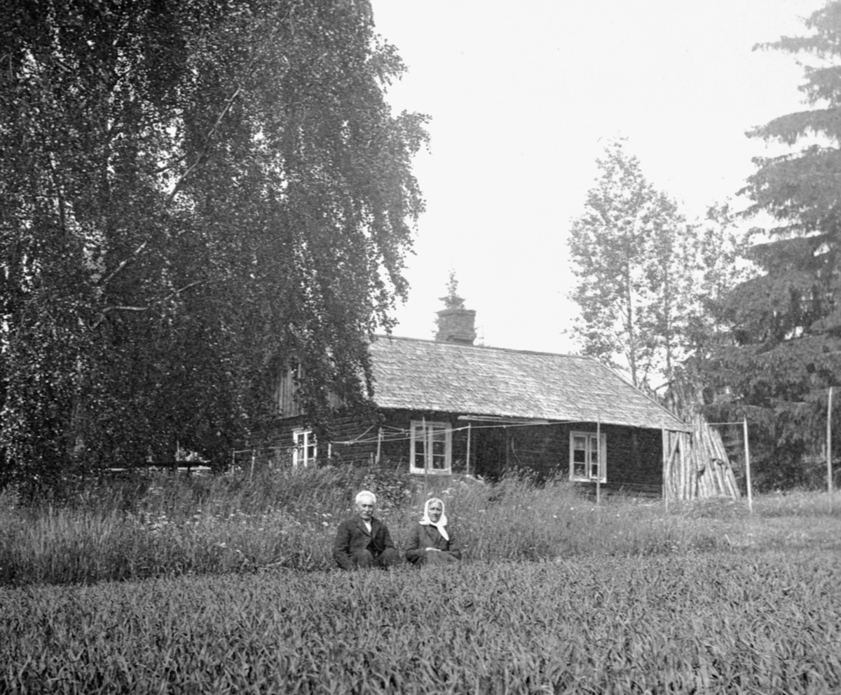 Anno Domkirkeodden, Eksteriør, husmannsplassen Mesnbakken, Ringsaker. Even Messenbakken med frue i gresset.