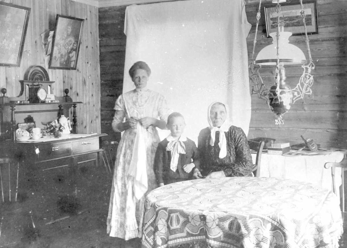 Anno Domkirkeodden, 3 personer i stua i Fagerli, Helgøya. Fra venstre er Julie Stefferud (1875-1917) med sønnen Jens Marius Jensen, Pauline Stefferud (1842-1932).