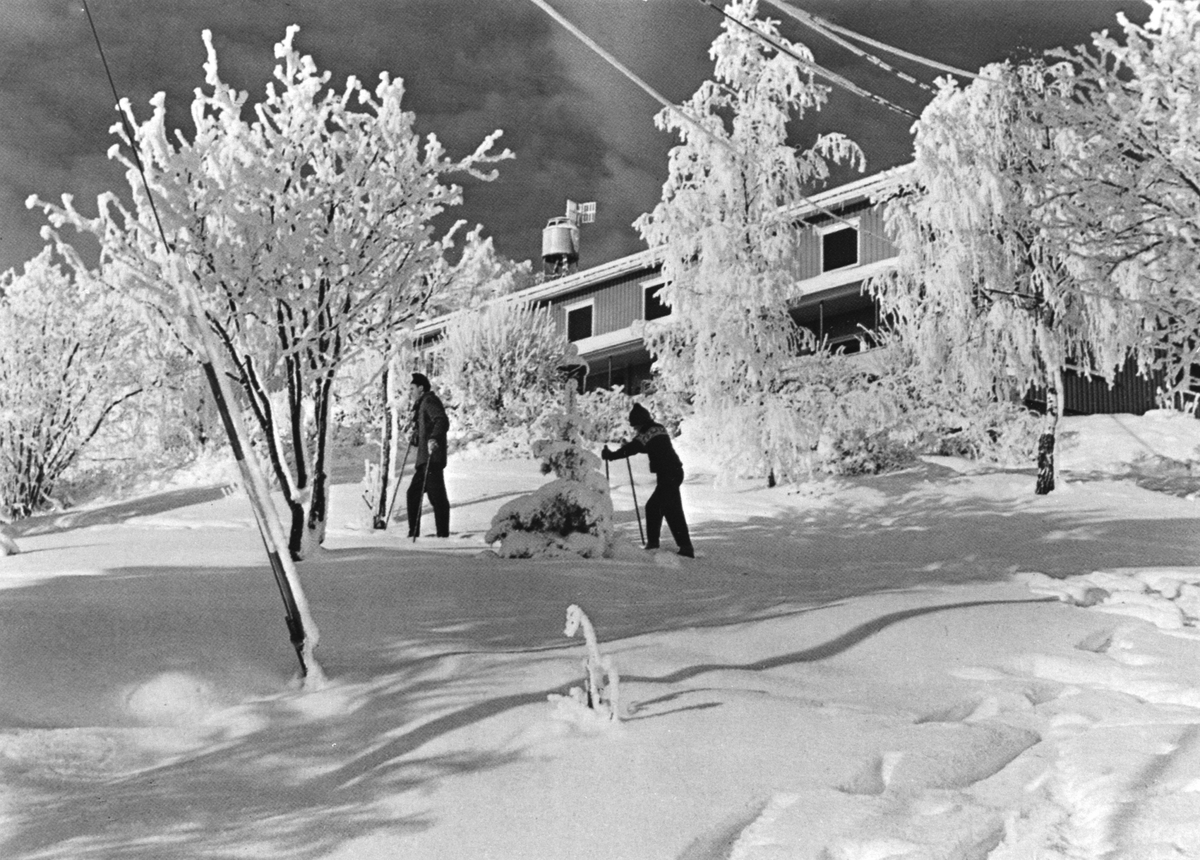 Anno Domkirkeodden, Skistua, Alhaug, Hedmarktoppen, Furnes. Turgåere på ski i forgrunnen.