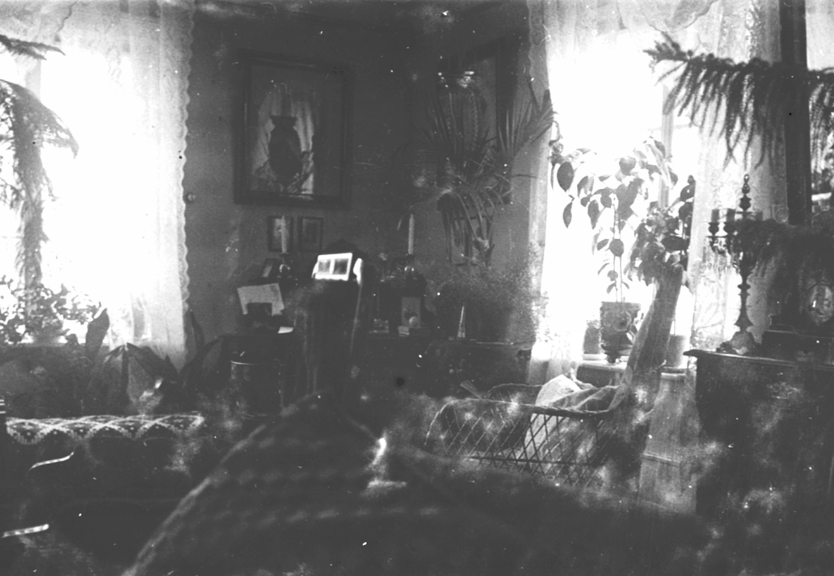 Anno Domkirkeodden, Interiør. Stue, kurvstol, bilder, møbler, planter. Hos dokter Karl Løken på Granerud gård, Brumunddal.