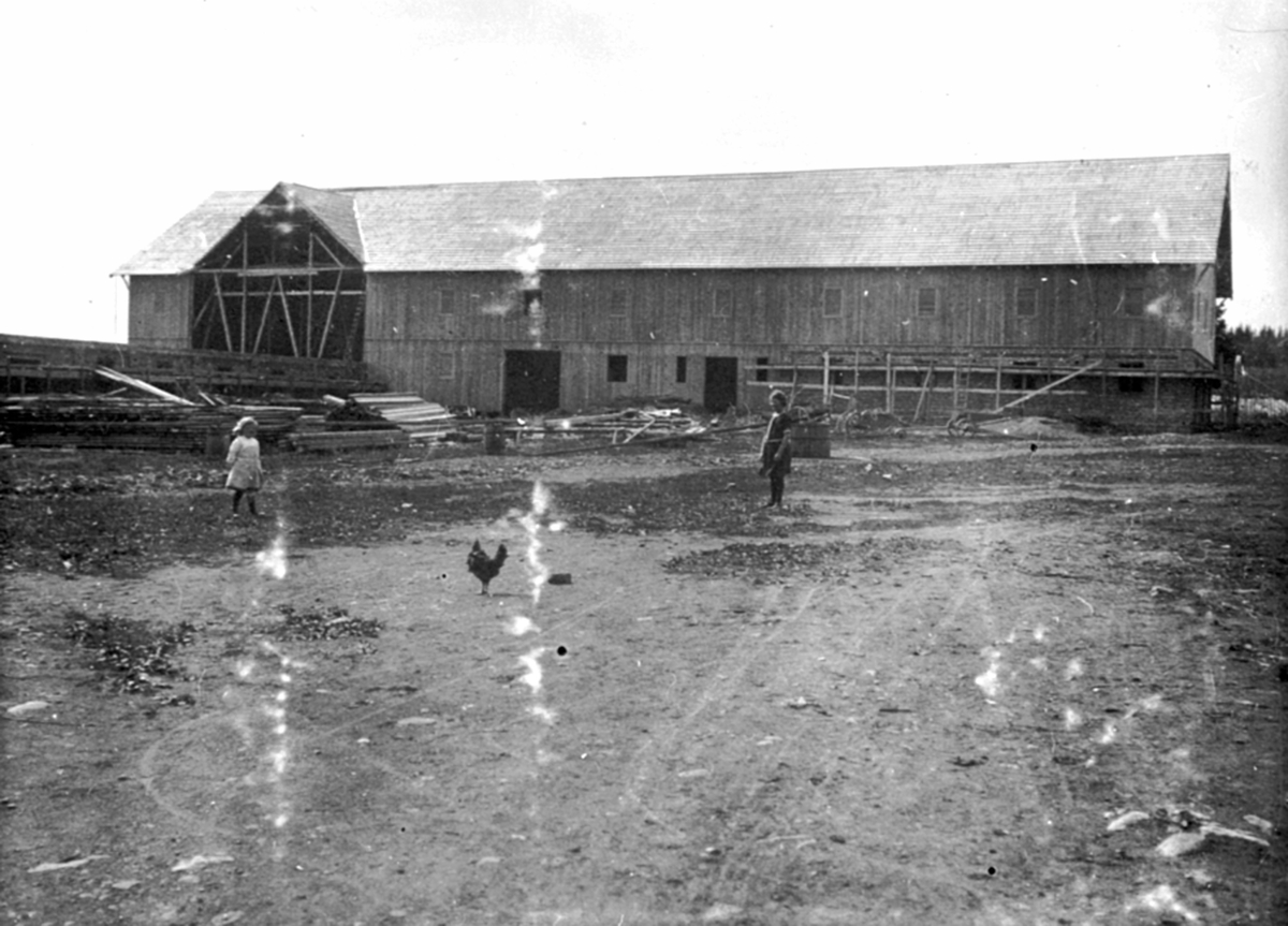 Anno Domkirkeodden, Eksteriør, låve. Ny låve under bygging på Flisaker gård, Veldre, Ringsaker. To jenter og hane på tunet. Den gamle låven brente ned i 1912.