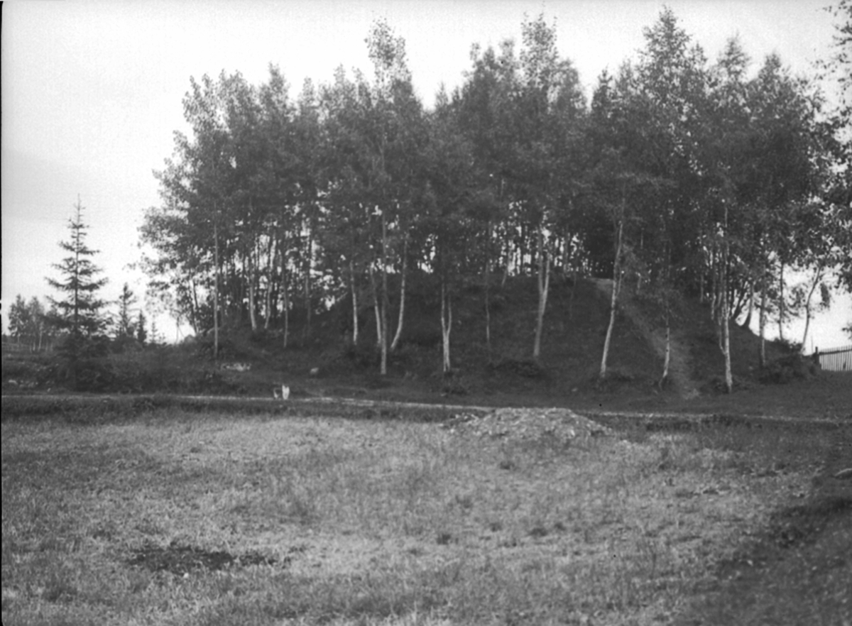 Anno Domkirkeodden, Historisk grav, gravhaug, Bjørge, Åsen, Furnes.