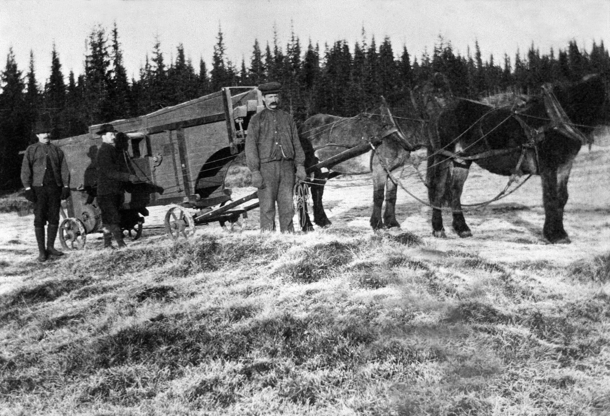 Anno Domkirkeodden, Tre menn transporterer treskeverk med hest i Mesnalia. Edvard Hagen, Ole Amundsen, Kristian Bjørkhaugen.