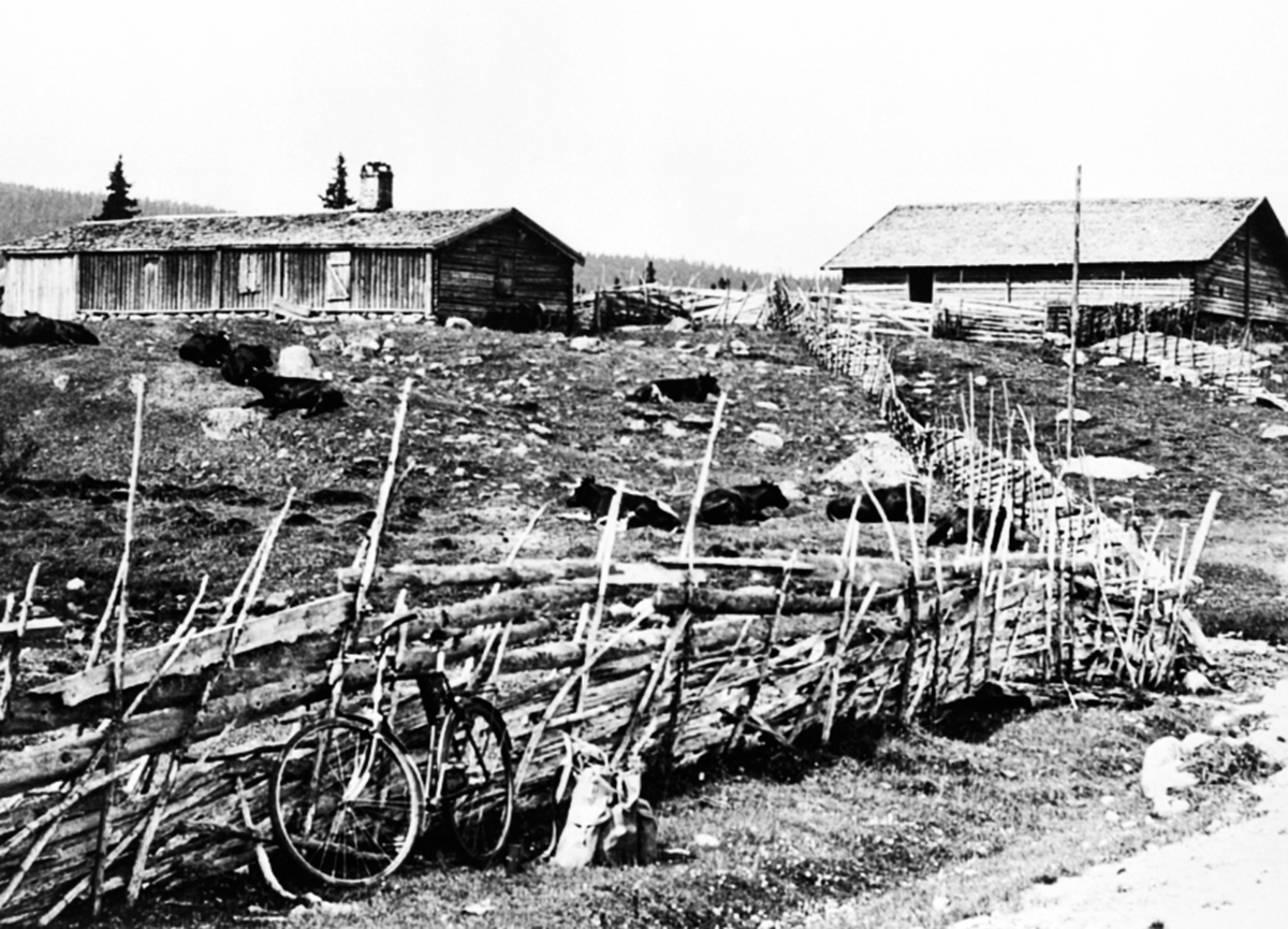Anno Domkirkeodden, To seterhus, størhus på Åkersetra, Ringsakerfjellet. Skigard, sykkel, ryggsekk.