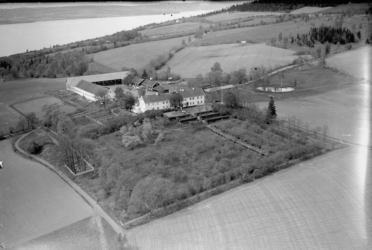 Widerøes Flyveselskap A/S, Flyfoto, Hovinsholm, Helgøya, hage, dam, inngjerdet privat gravplass til venstre i hagen.