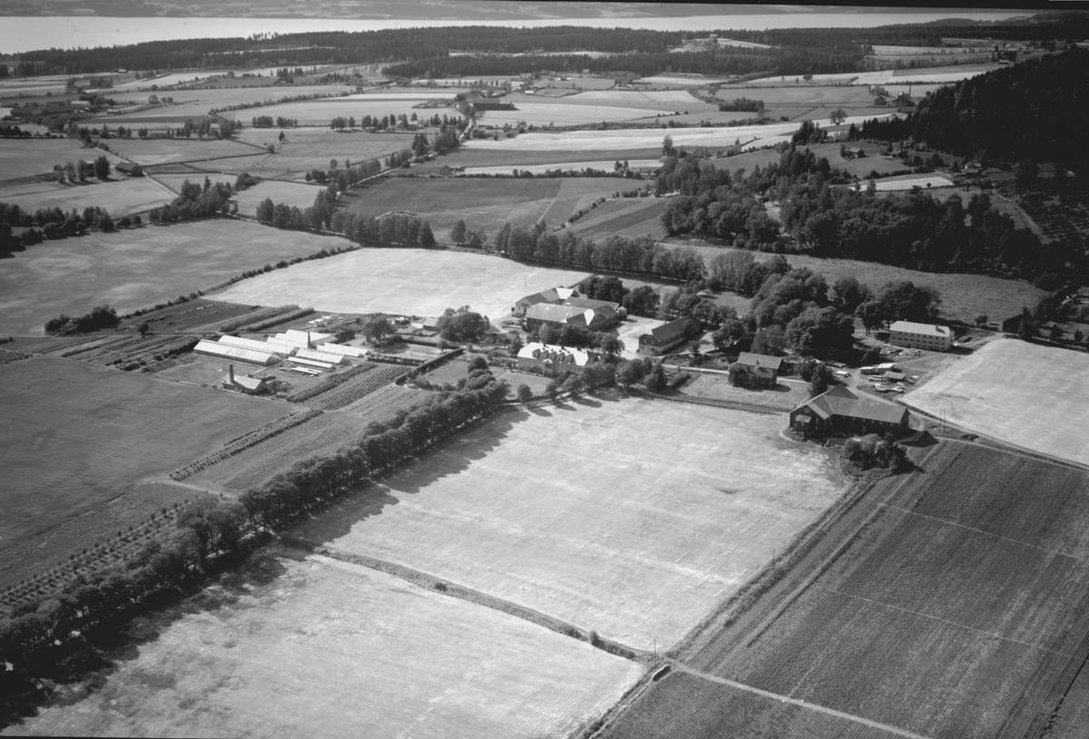 Anno Domkirkeodden, Flyfoto, gardsbruk, gartneri, Grefsheim, Nes, Hedmark.