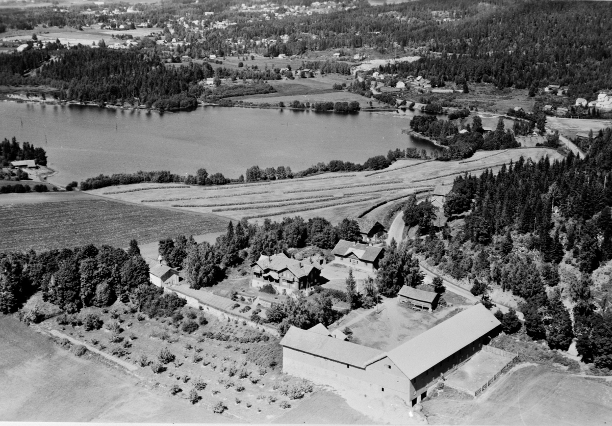 Anno Domkirkeodden, Flyfoto av Stein gård, Ringsaer, landskap mot Moelv, Korgerstuvika.