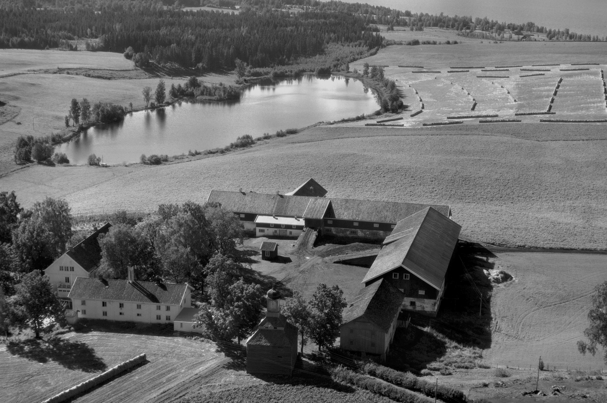Anno Domkirkeodden, Flyfoto av Tjerne gard, Gaupen, Ringsaker.