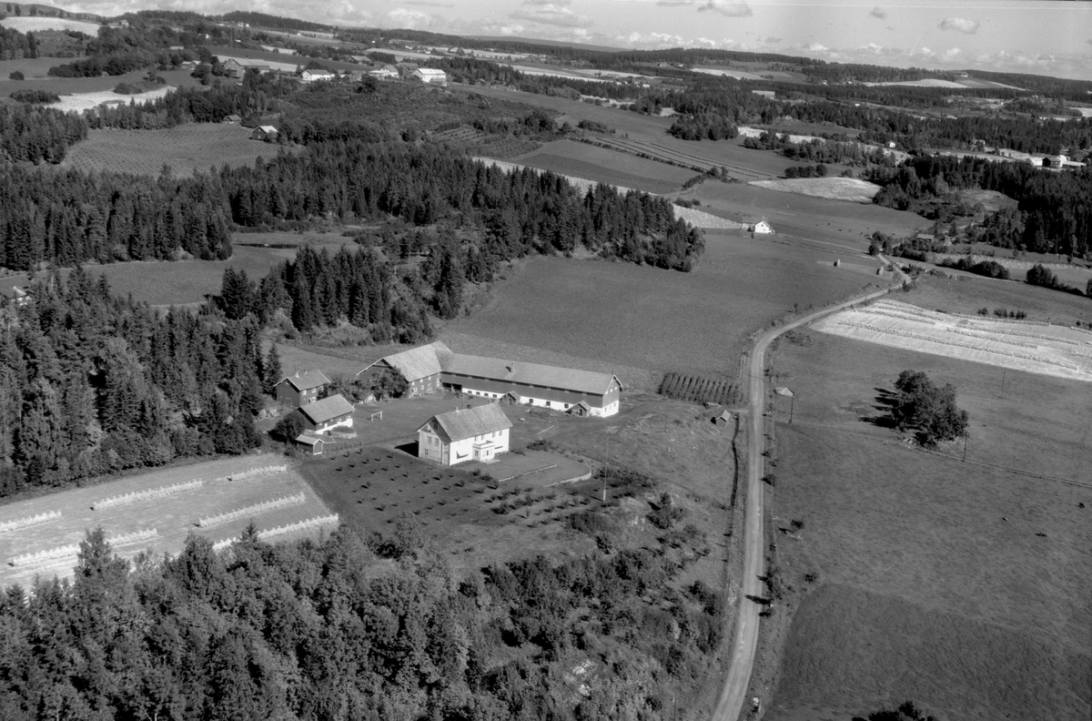 Anno Domkirkeodden, Flyfoto, gardsbruk, Gjestvang Øvre, Nes, Hedmark.