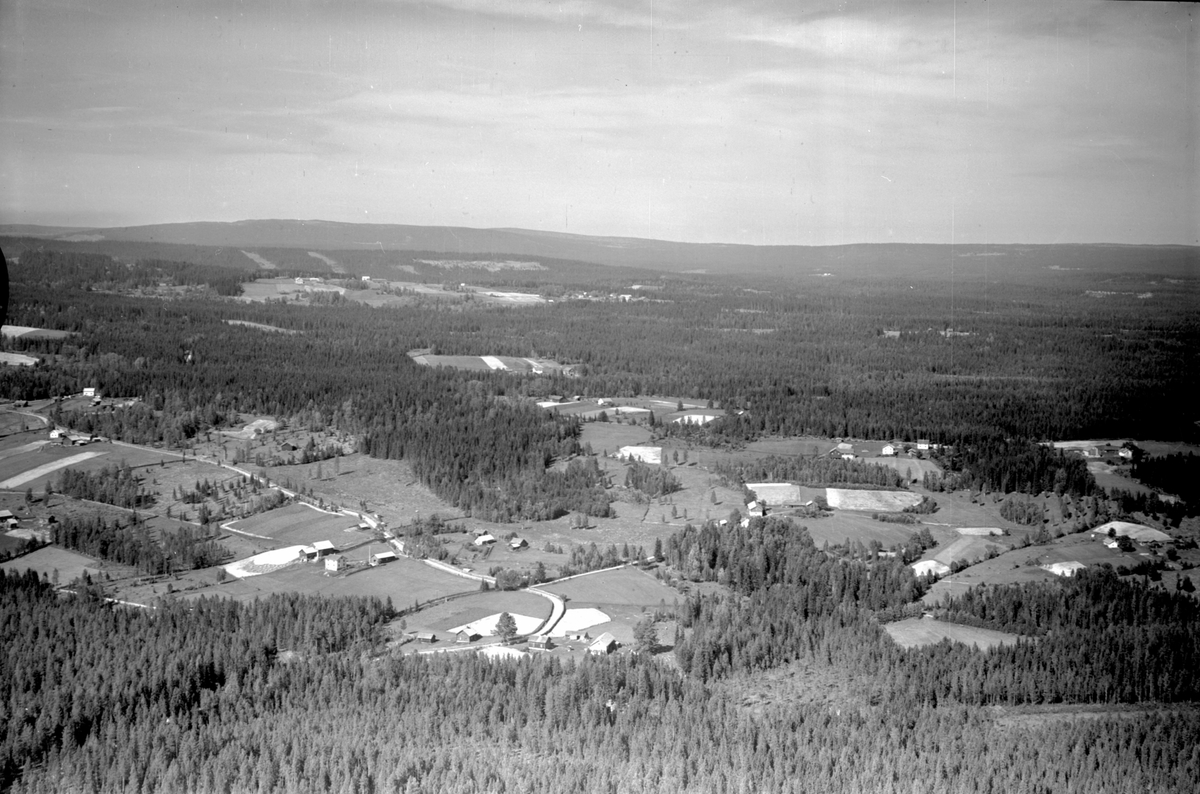 Anno Domkirkeodden, Flyfoto, skogslandskap med gardsbruk, Ringsaker.