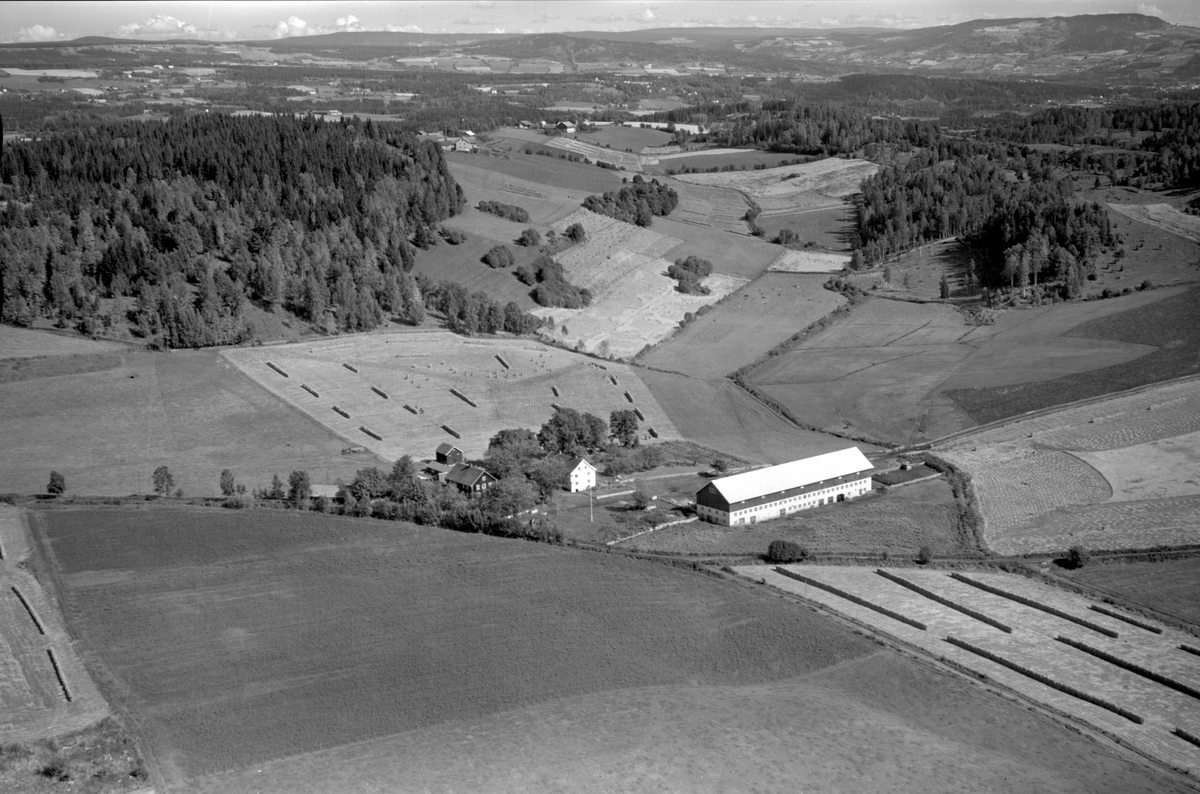 Anno Domkirkeodden, Flyfoto av Mælum gard, Ringsaker.