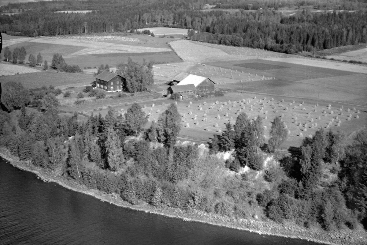 Anno Domkirkeodden, Flyfoto av Tangnes søndre, Gaupen, Hedmark.