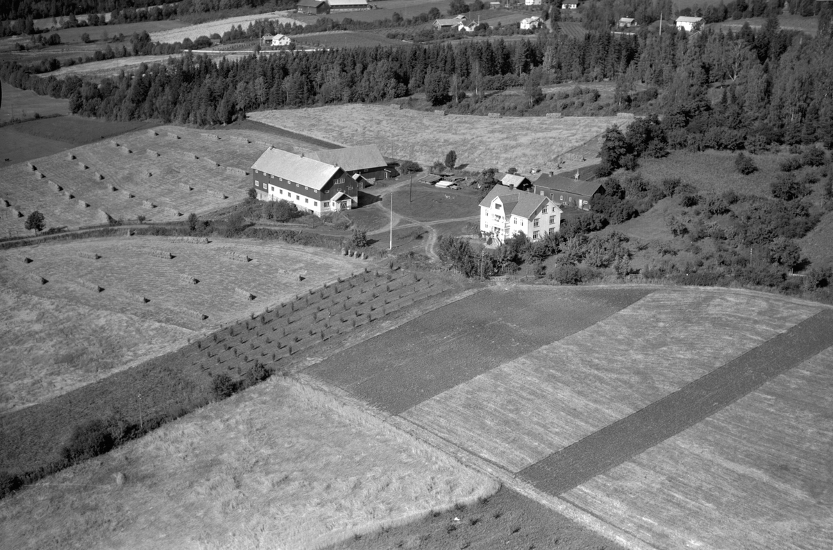 Anno Domkirkeodden, Flyfoto, gardsbruk, Lie øvre, Nes, Hedmark.