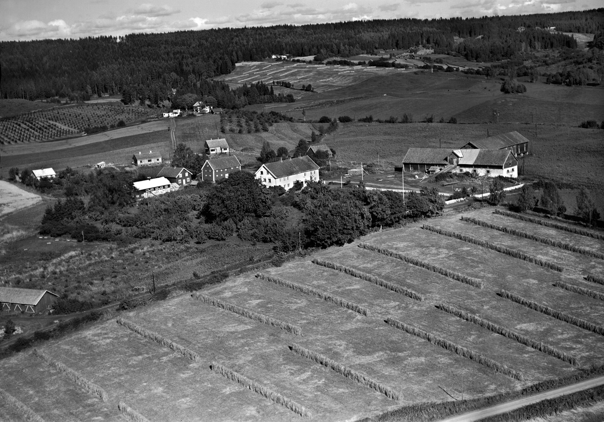 Anno Domkirkeodden, Flyfoto, gardsbruk, Kise nordre, Nes, Hedmark.