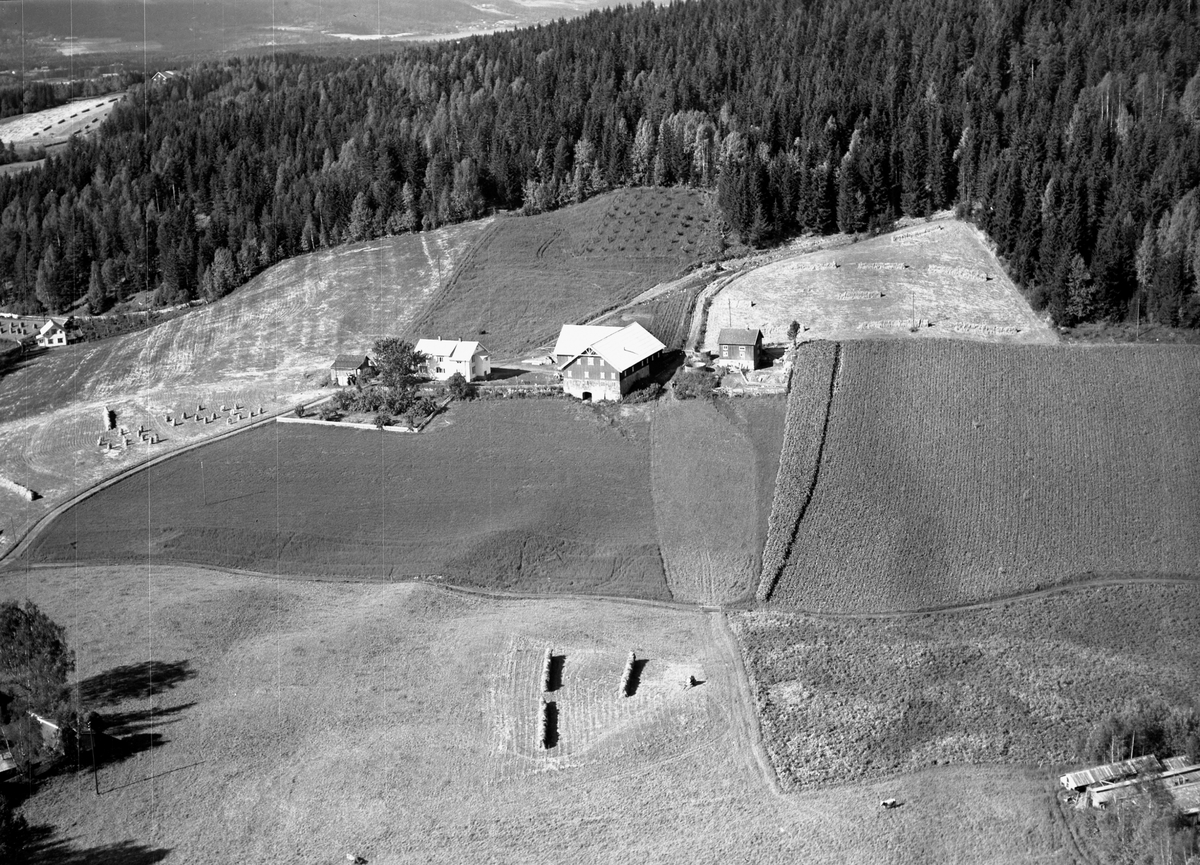 Anno Domkirkeodden, Flyfoto, gardsbruk, Skjoldknapp, Nes, Hedmark.