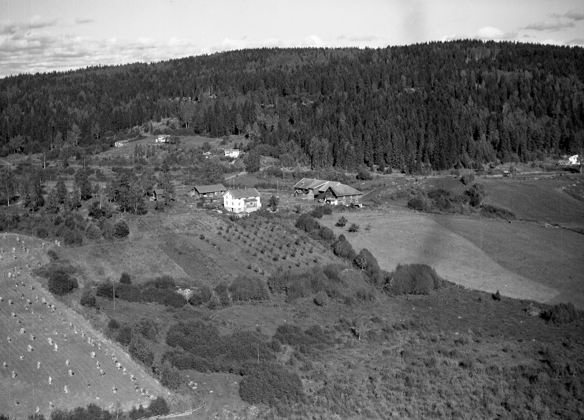 Anno Domkirkeodden, Flyfoto, gardsbruk, Ihle, Nes, Hedmark.