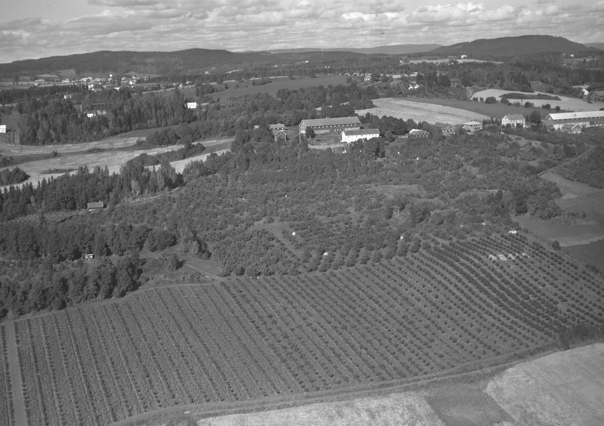 Anno Domkirkeodden, Flyfoto, gardsbruk, hagebruk, Aske nordre, Nes, Hedmark.