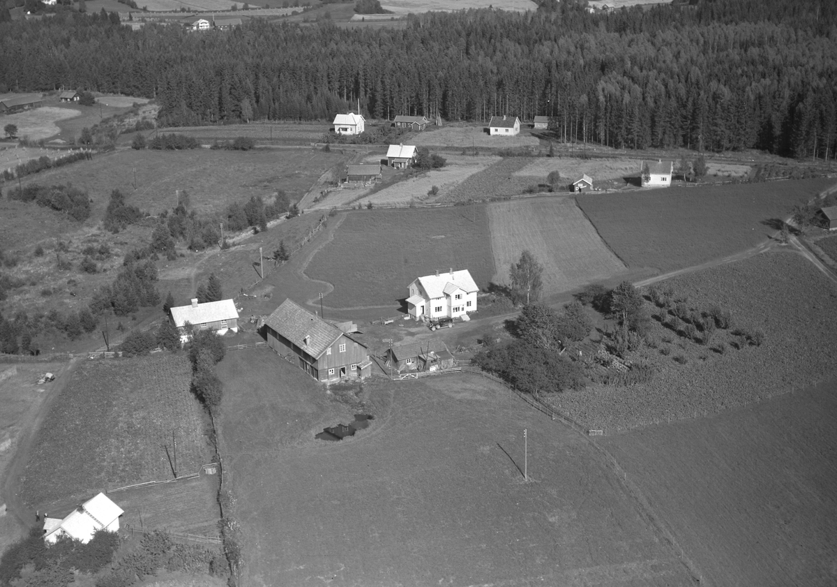 Anno Domkirkeodden, Flyfoto, gardsbruk, Plassen, Nes, Hedmark.