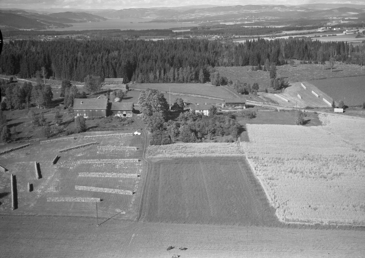 Anno Domkirkeodden, Flyfoto av Brenden gård, Stavsjø, Hedmark.