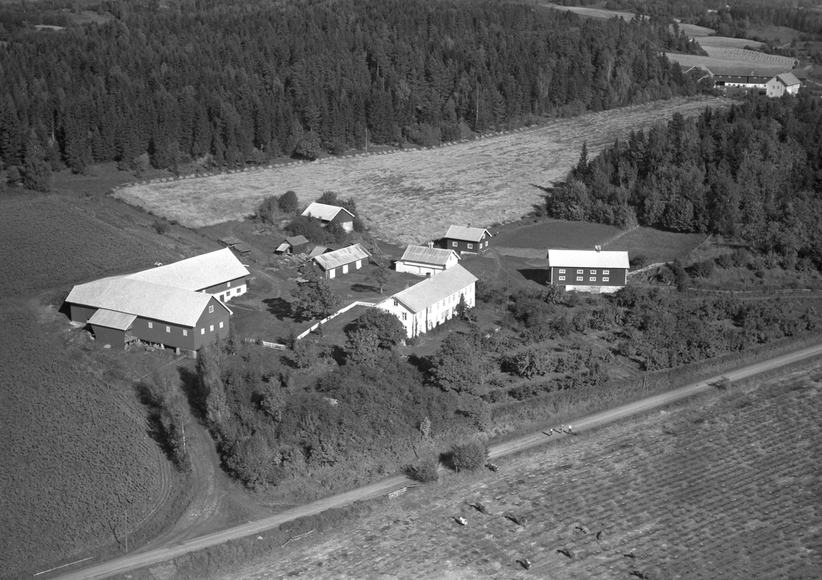 Anno Domkirkeodden, Flyfoto, gardsbruk, Gjestvang nedre, Nes, Hedmark.