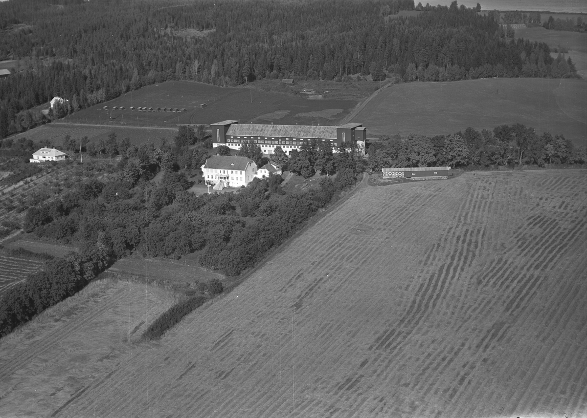 Anno Domkirkeodden, Flyfoto, gardsbruk, Hovelsrud, Helgøya.