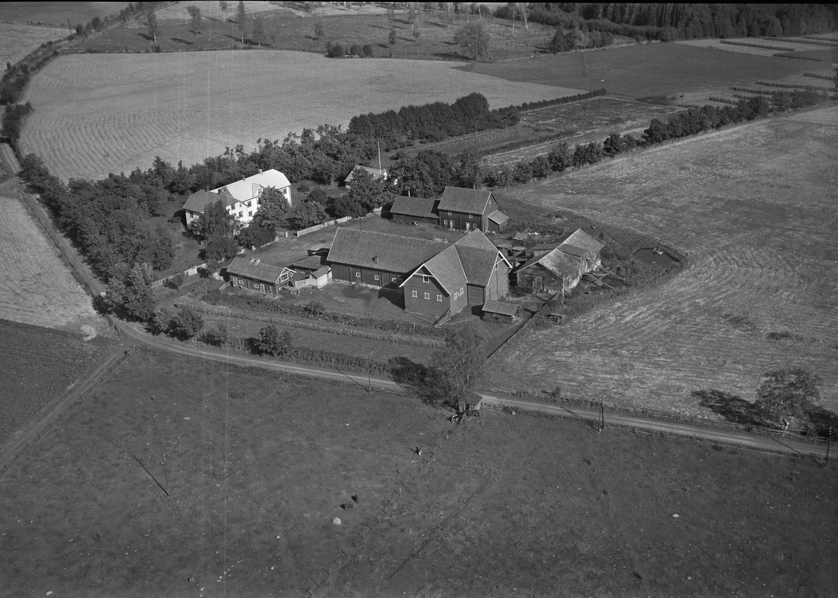 Anno Domkirkeodden, Flyfoto, gardsbruk, Øvre Vien, Helgøya.