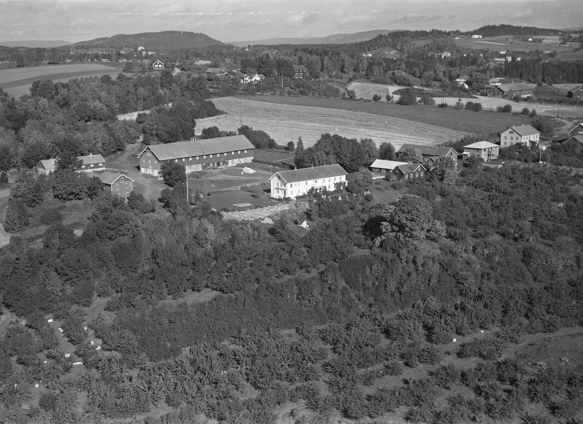 Anno Domkirkeodden, Flyfoto, gardsbruk, hagebruk, Aske nordre, Nes, Hedmark. Aske mellom og Aske østre i bakgrunn.