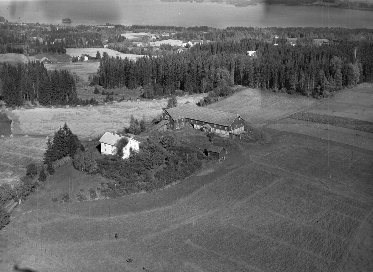 Anno Domkirkeodden, Flyfoto, gardsbruk, Syljebæk, Nes, Hedmark.