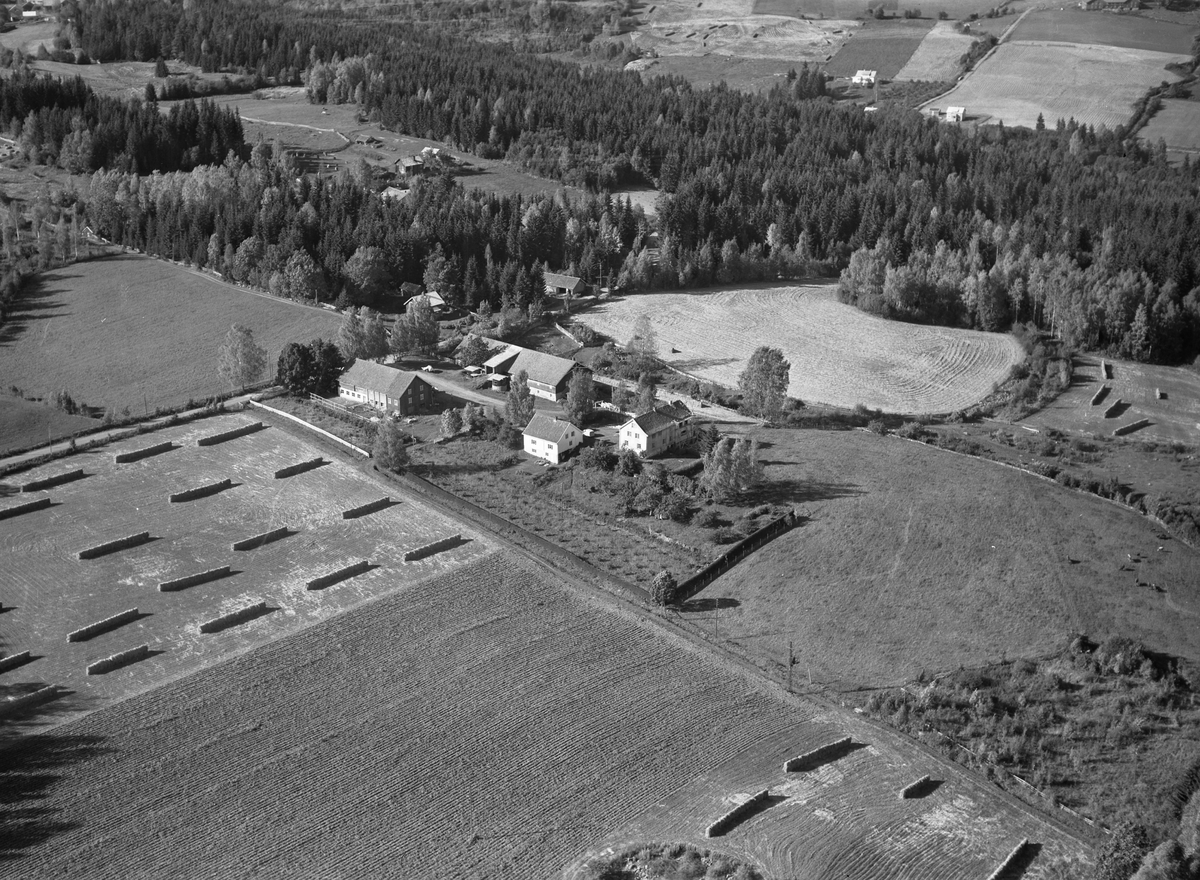 Anno Domkirkeodden, Flyfoto, gardsbruk, hesjer, Wold, Nes, Hedmark.