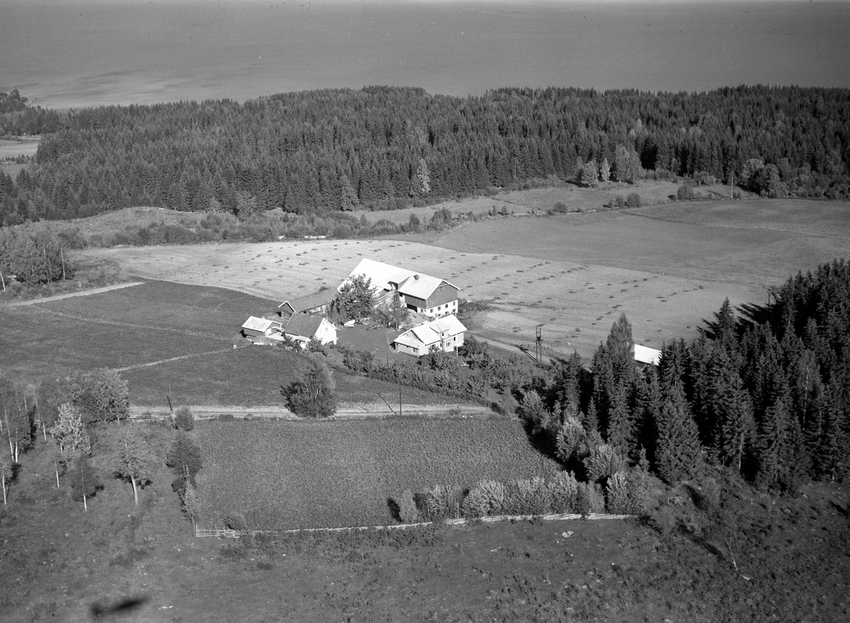 Anno Domkirkeodden, Flyfoto, gardsbruk, Røhnebæk, Nes, Hedmark.