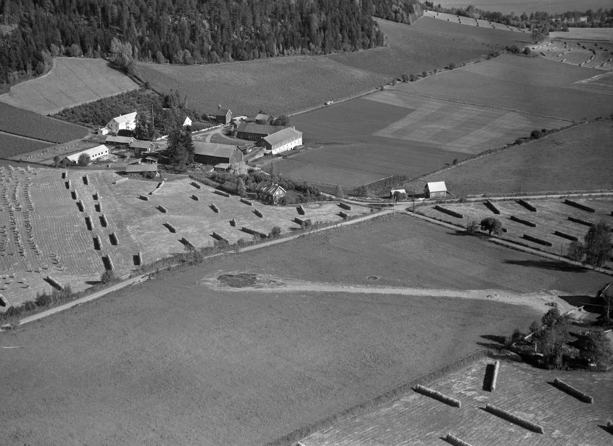 Anno Domkirkeodden, Flyfoto, gardsbruk, hesjer, Kvam, Nes, Hedmark.