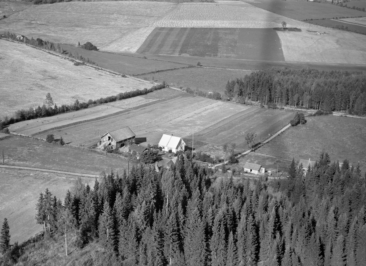 Anno Domkirkeodden, Flyfoto, gardsbruk, Torp, Nes, Hedmark.